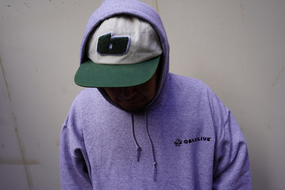 OBSL LOGO TYPE hoodie